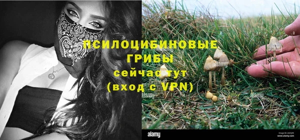 ПСИЛОЦИБИНОВЫЕ ГРИБЫ Алексеевка