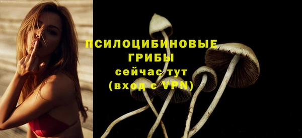 эйфоретик Абдулино