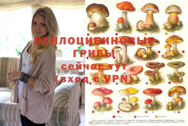 ПСИЛОЦИБИНОВЫЕ ГРИБЫ Алексеевка